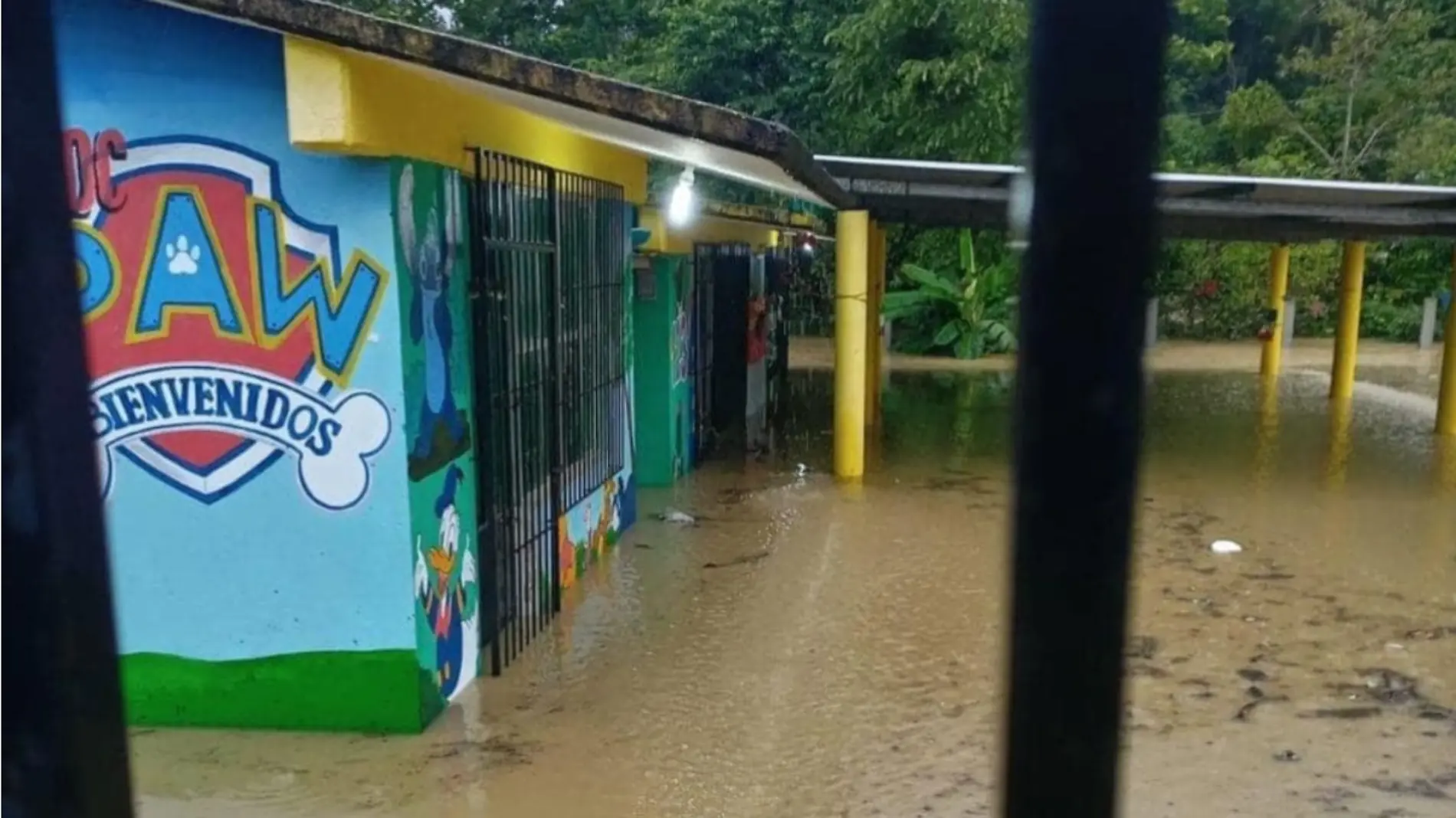 Escuela entre el agua